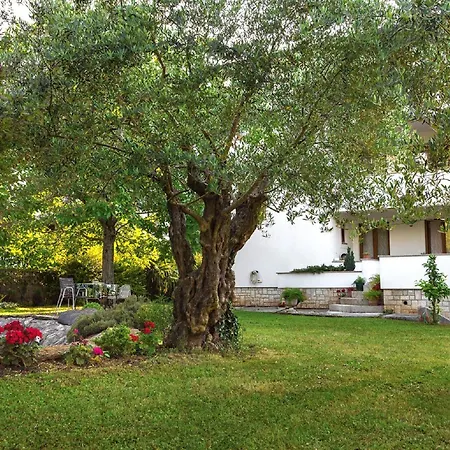 Guest house Casa Mareva 3*